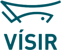 Visir logo